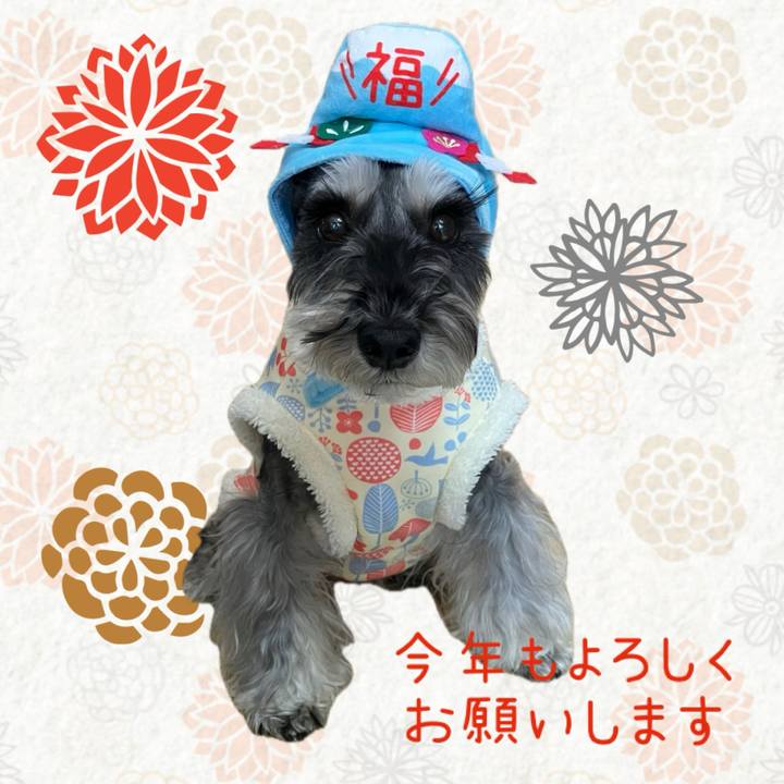 4203b868 b247 4919 88df a51c913ea22a 1735707077595