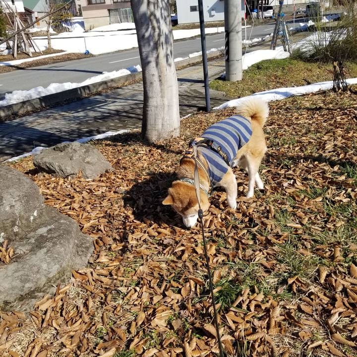 4203f83e bd28 41fc 8712 87537f55e16b 1708134624809