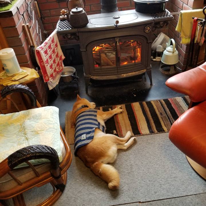 42041851 60be 4dbb aa9a bd47e6d148e9 1581378413941