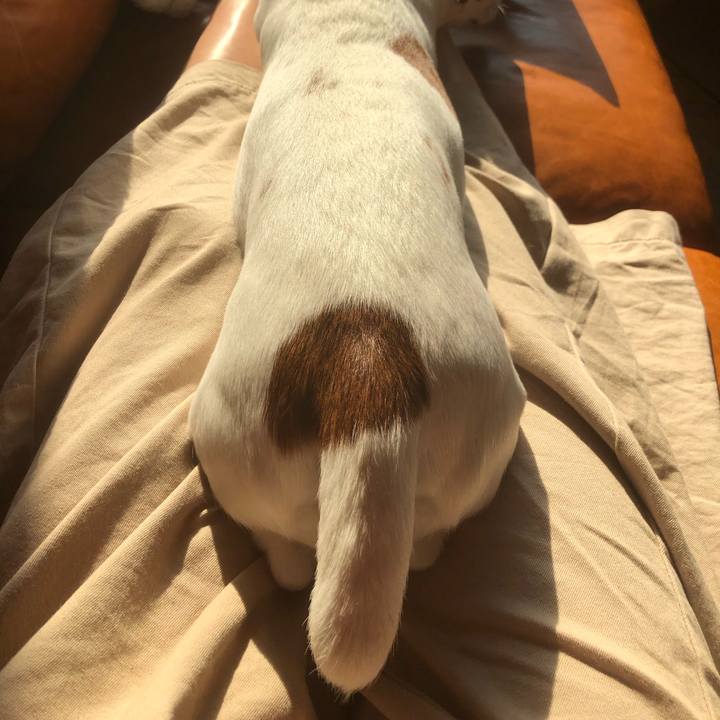 420419db 4a57 4be6 a437 c6ca37bddec2 1558084960559