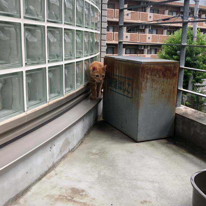 420436ad 449d 4f1c 822b f41055e69312 1567252522505