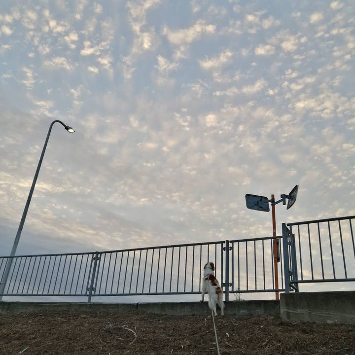 42043aed 763b 461b a6f2 8d62a0da6cce 1611791725241