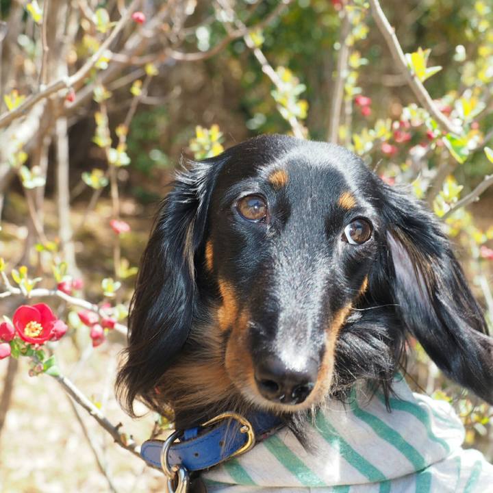 4204437a b0c1 46f2 b217 f87149878afc 1521342536975