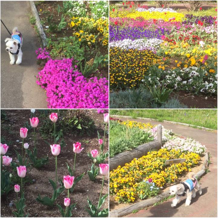 42045c25 8cee 4b7e aacd 11578be53c47 1556603094221