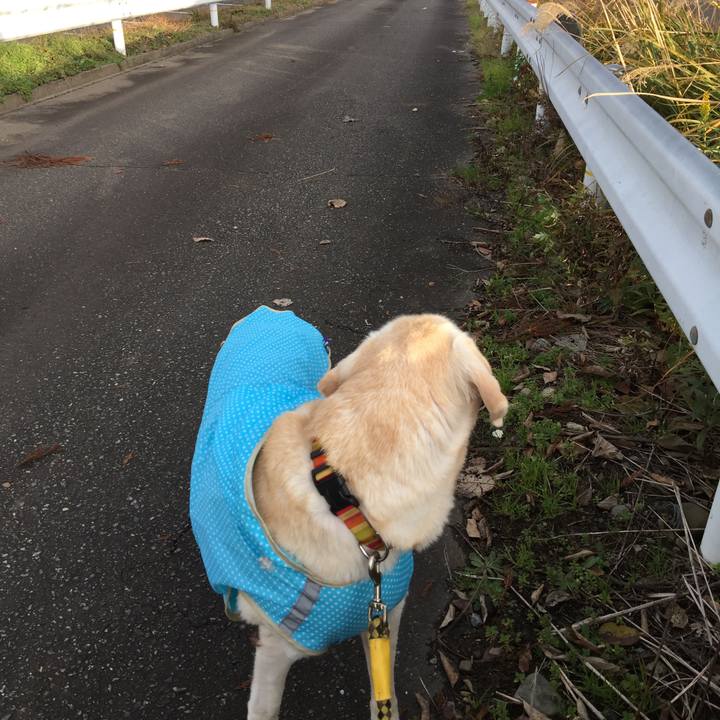 4204c525 1edd 48f6 9aa5 0980f5459957 1672140860603