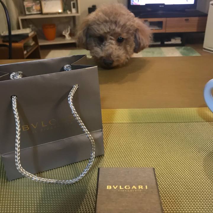 4204d70d a3f0 47a6 bd6c 752bc138c6f9 1521040166168