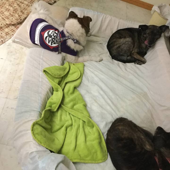 4204da83 6d8b 486b 963f f2b7244939e8 1607180002925