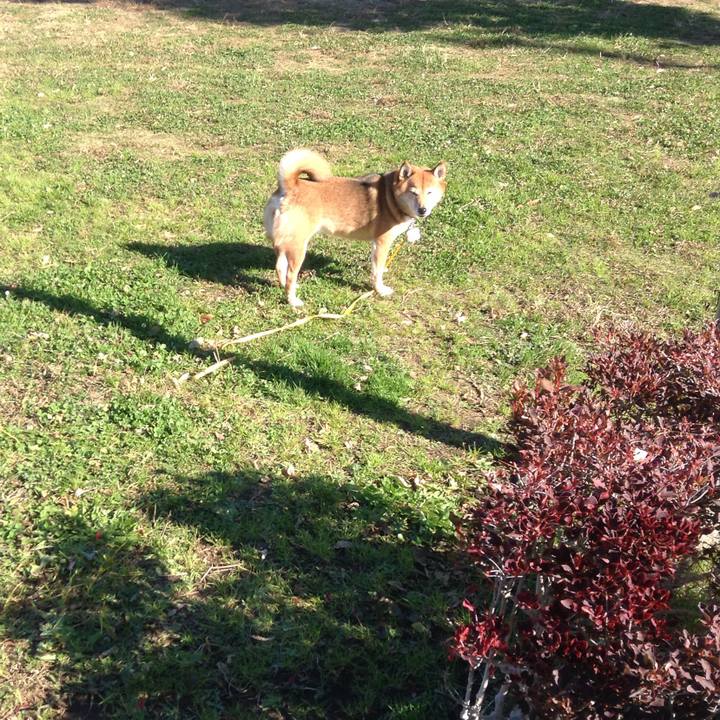 4204e756 75aa 40d3 9a4a 00bab3841f0d 1511228378194