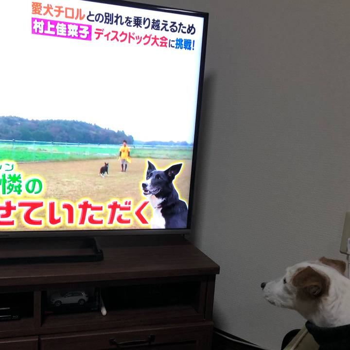 4204eba3 8cfe 423f adc9 9b669c230405 1542971610776