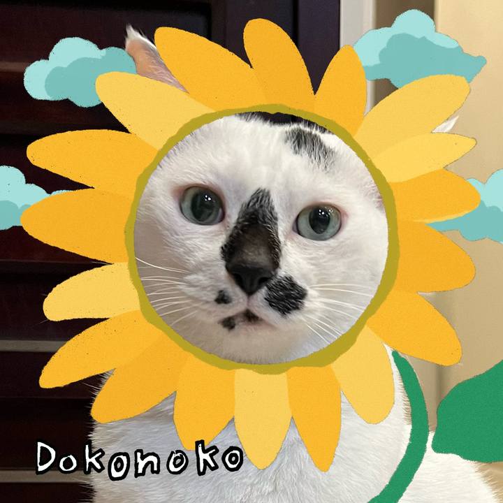 420505db 3167 4ba7 85a4 e60f14778e5a 1723692089779