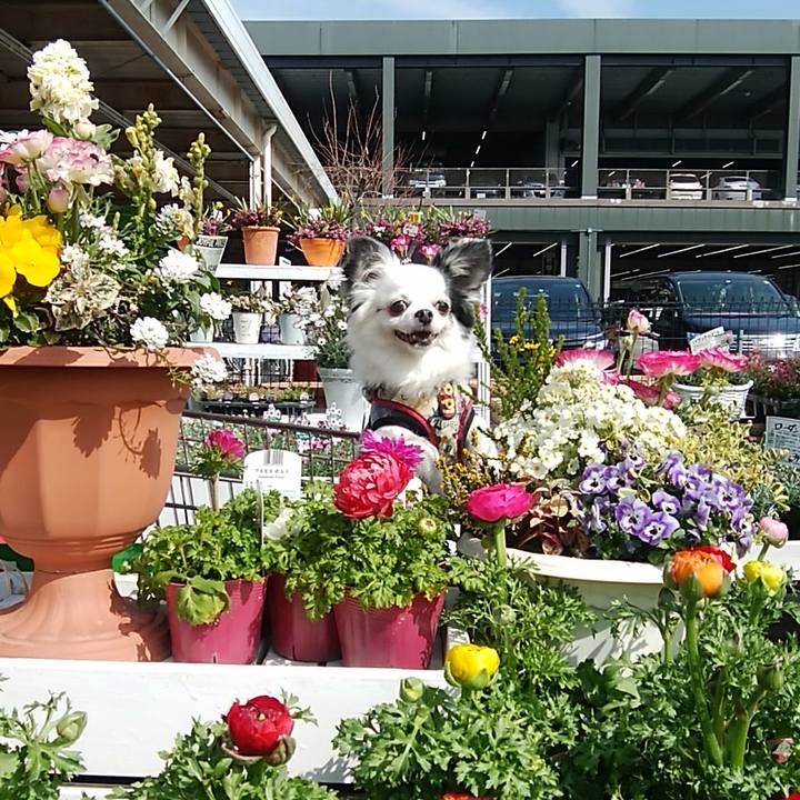 42052755 7cba 4466 a92d bf08303002e7 1551275667412