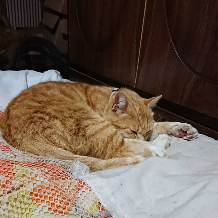 42052b01 bc95 41ef 9b9d 80ca480dce97 1587385889641