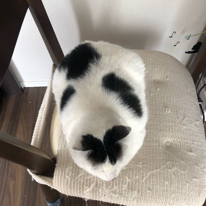 42052f8f b1a5 4ead b671 0c359674d681 1587095836835