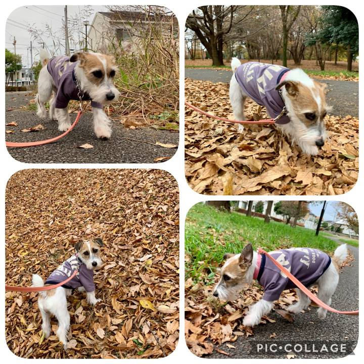 4205584e b24b 4256 a9e6 43538279046b 1606466631456