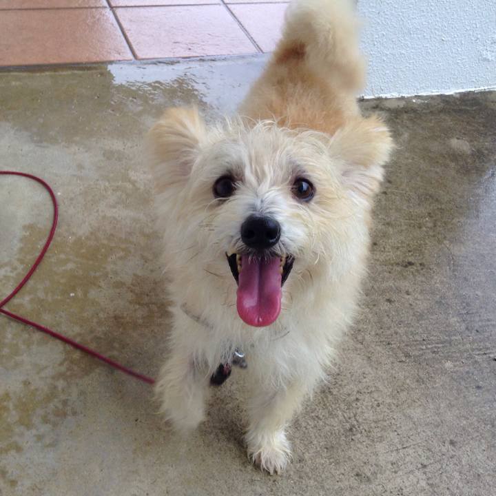 42057788 ad5a 4230 895e c3068fcb9278 1534333121229