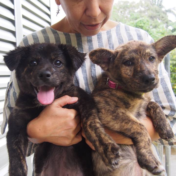 4205b66e 638c 41ea b1ff 217f50fb8120 1546148138558