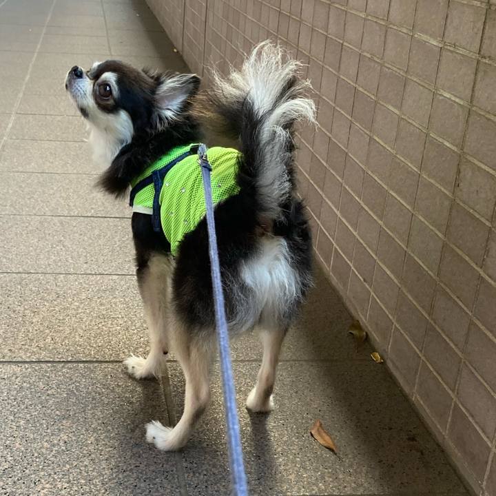 4205fcb9 e3c9 46a8 8aac a0550726a979 1688310285562