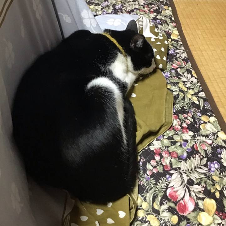 420649be 5cf4 4886 b40a c4d443a7b782 1648890875462