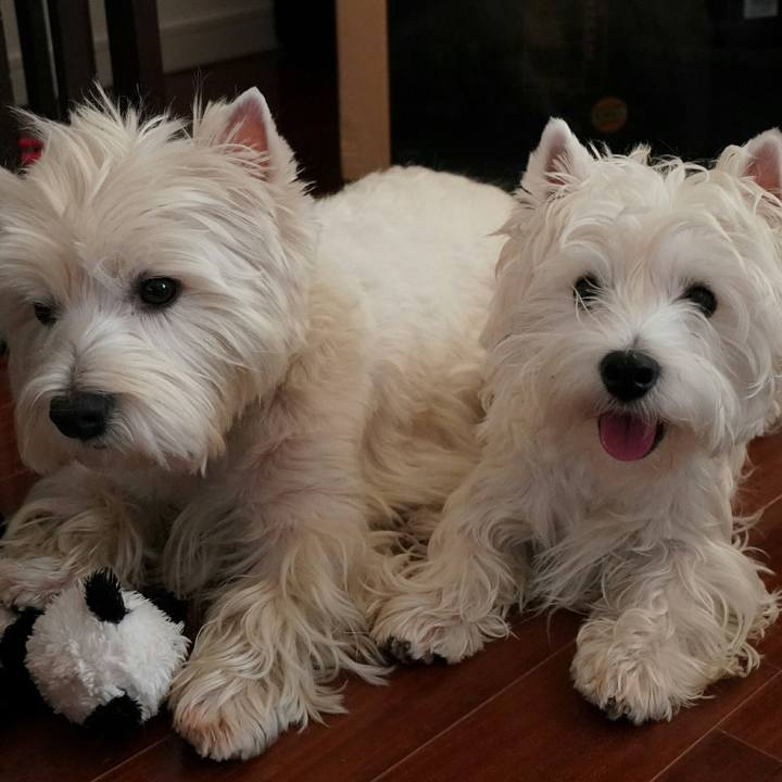 42064fa0 3491 4064 8418 04e7923ed471 1513640754123