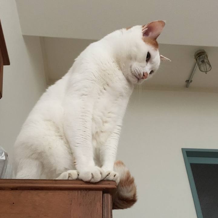 42065a5d 3f9c 444b b19e 5c02ef01a852 1529360855139