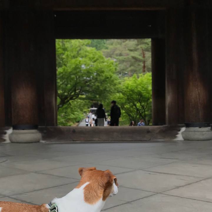 42068144 0ad6 4ebe 9c93 51d362773e6f 1526715123907