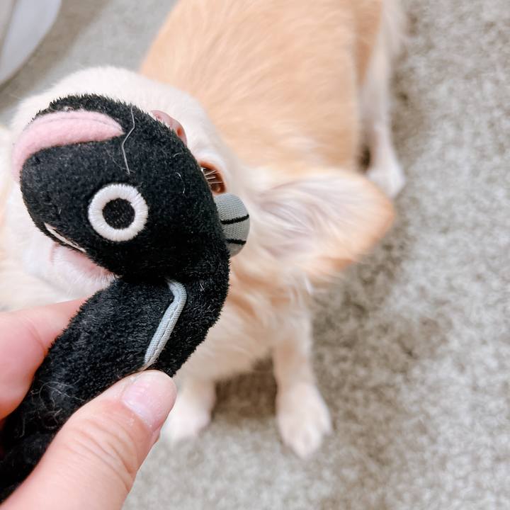 42069a28 d732 4535 bada b2f28b9c0764 1660301729519