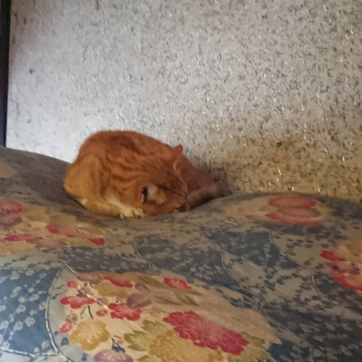 4206f34e b590 41d0 9d41 b4bf23e1ab9e 1603601963926