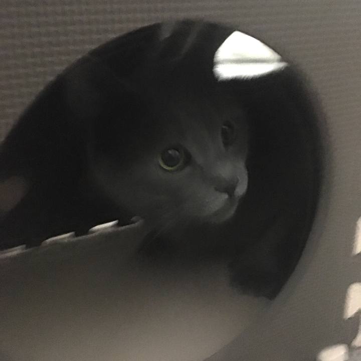 4206f41f 09a7 456e 9271 05bac952cc05 1676249384773