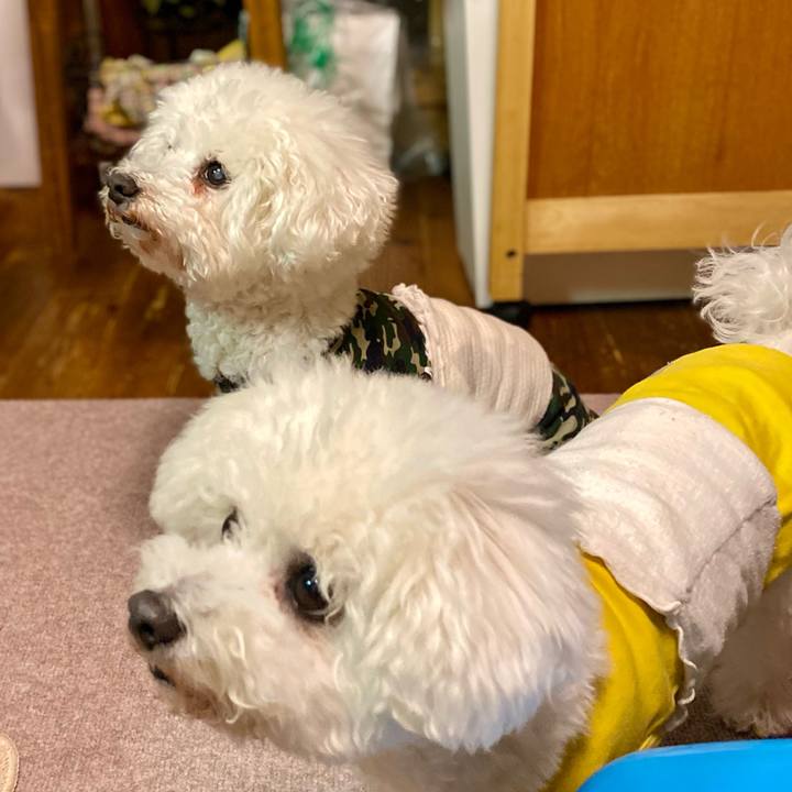 42071af6 0978 4ed8 933d 783628ce56f4 1704617644379