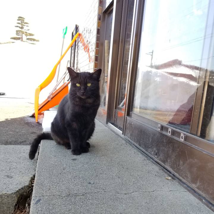 42073dd2 5adb 4230 88ac c52b0b709b61 1584508360084