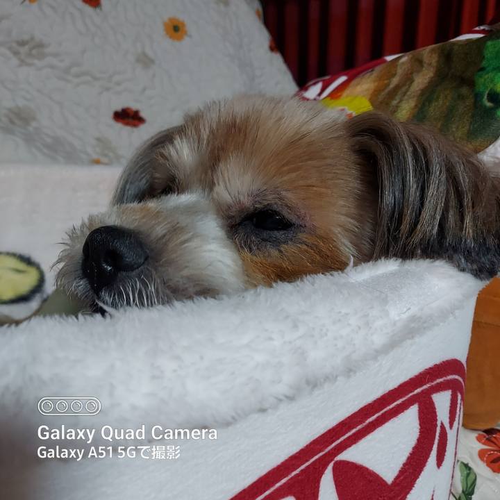 420750ad 14e2 427b b6fc c01c52765364 1673448643868