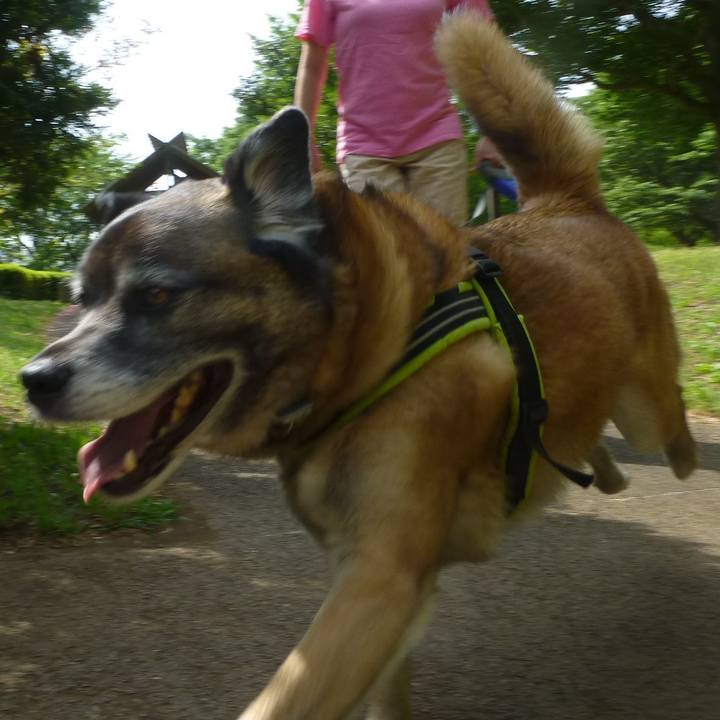 4207744e 7d18 41c7 879c 64898f656bd5 1581811341409