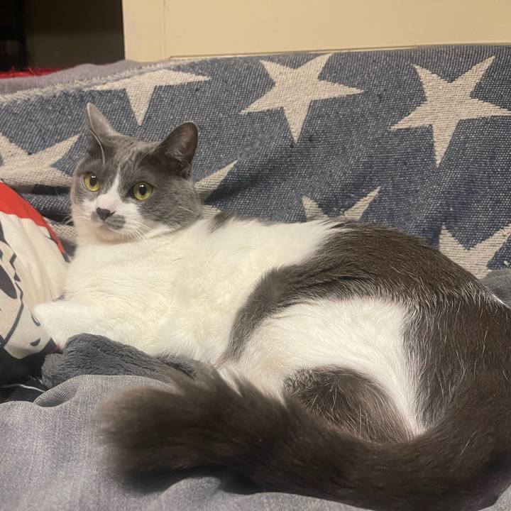 4207d860 9738 48fc a7fe 7af8ce345daa 1648639766539