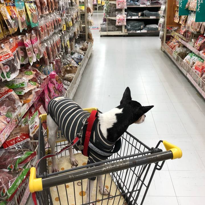 42082787 d6ab 458e aef7 a2307cabd8d2 1542934878071