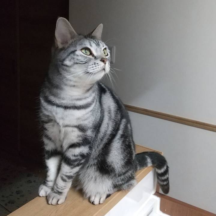 4208366f 15d7 4f7a be79 71df9e171d66 1651319228708