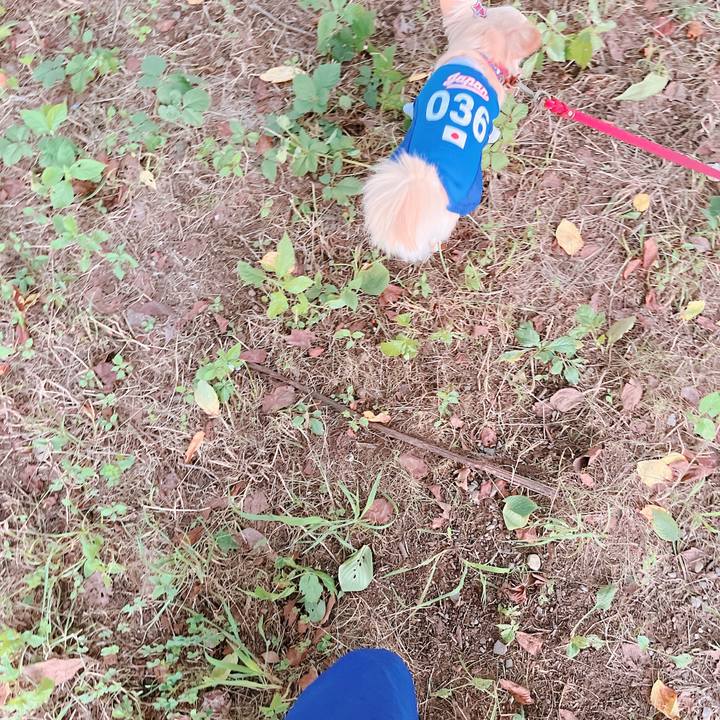 42084084 6a84 493b b89b d09cd6b39a6e 1658318532993