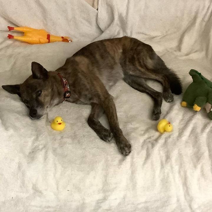 42086086 f6ab 44aa 9739 f4f8605c4f57 1699523959430