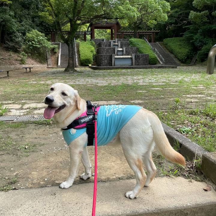 42087a56 1d45 4d0a bbf8 fcfe341b3d83 1629798070883