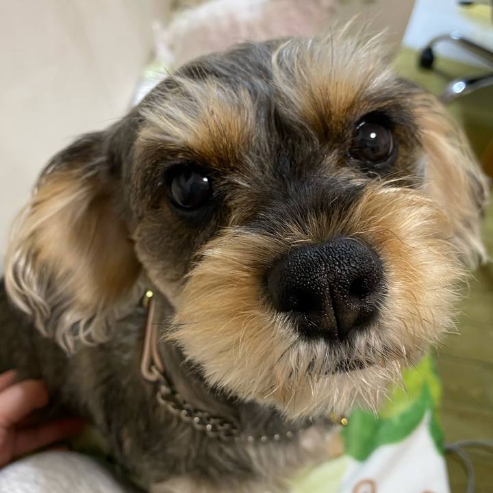 42087f21 e7a5 438e a0a7 36e122e2fe12 1579073638307