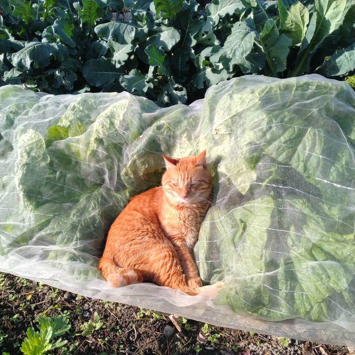 420880b7 6c04 4e64 8fe1 54e0cd3f7e4f 1697616422198