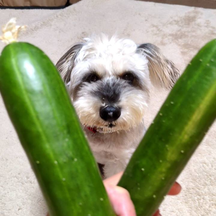 42088947 4a72 4465 a850 7abdf7ae3f51 1754167122011