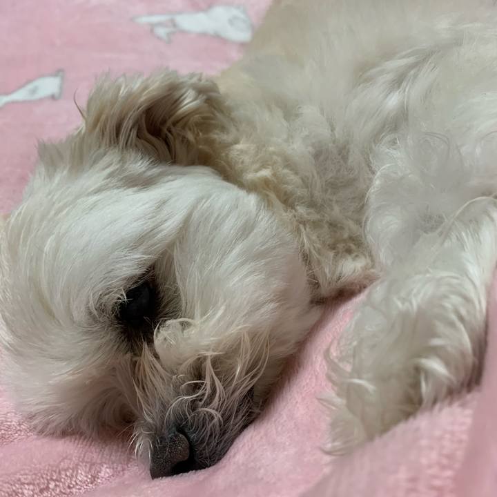 4208a7b0 da3e 4c0b 8a23 c8c77a28fbcf 1612697028220