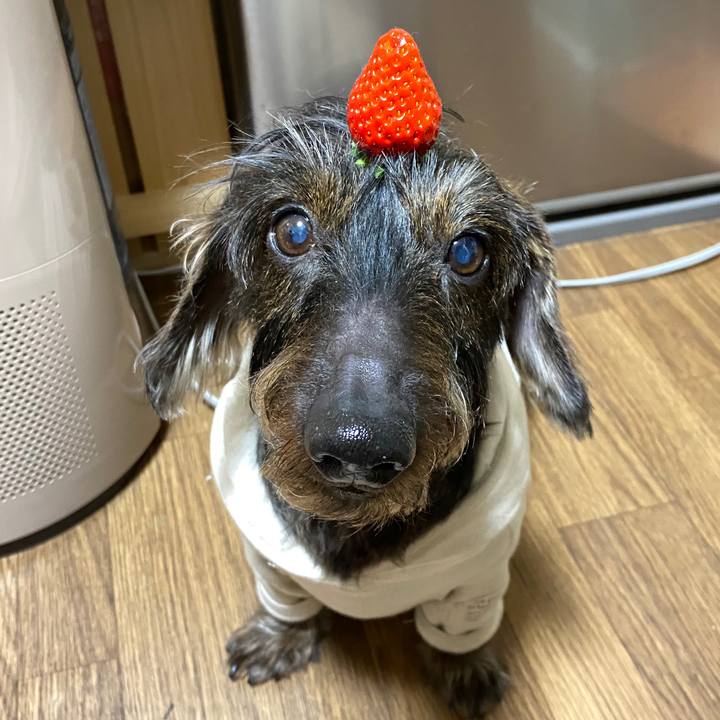 4208a7d3 2a83 4274 af84 7aebb0f4ec67 1581776887705