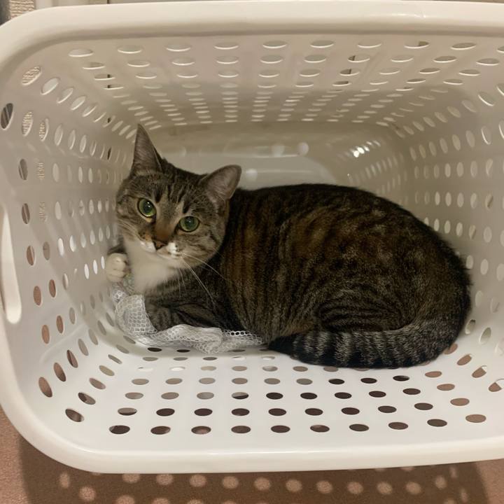 4208be5a c51d 4964 960d e9527c2a24ff 1654523408438