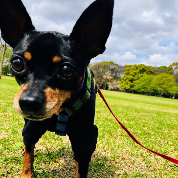 4208c5dc e0ca 46d8 aa40 8cc16eaa0728 1713047589616