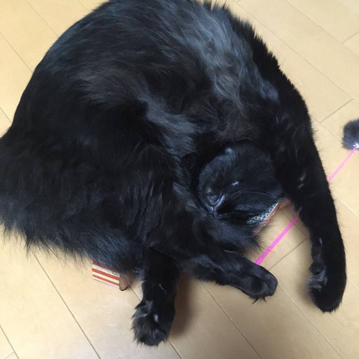 4208ef19 74cf 4940 b2bf 7faf8a6a1caf 1528638277158