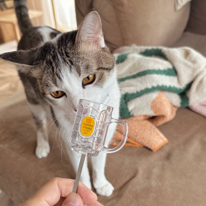 420905f3 3fef 4ce7 957a 7e166a7c8dc0 1769921825932