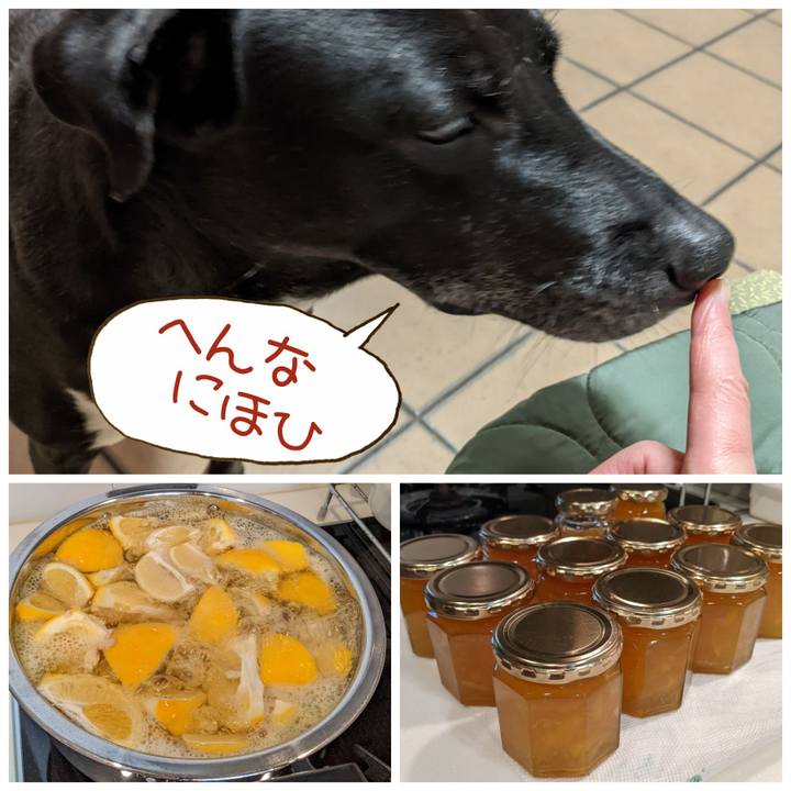 42093fd5 0218 40ff a39a a4193a4fbbaa 1674558094680