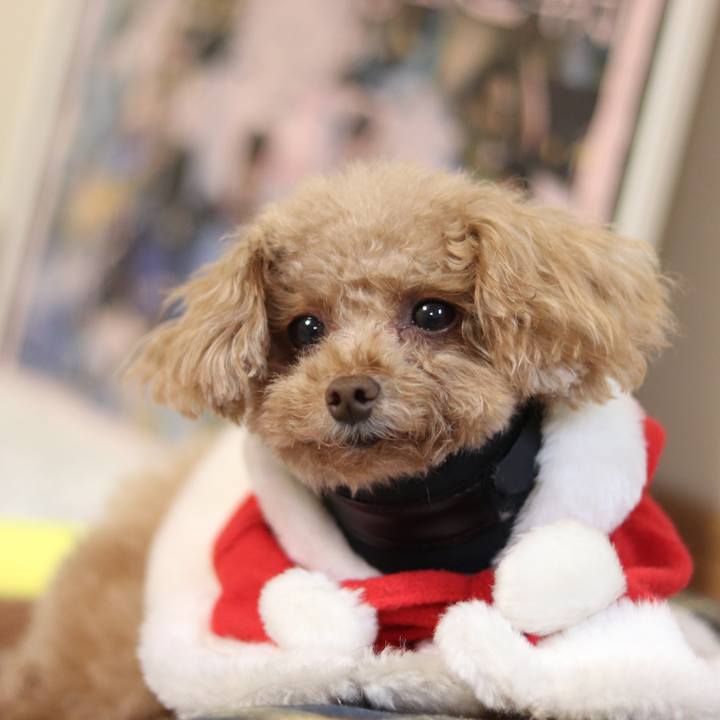 420950d4 c717 41ef a03f 0ff176fb969b 1545653627670