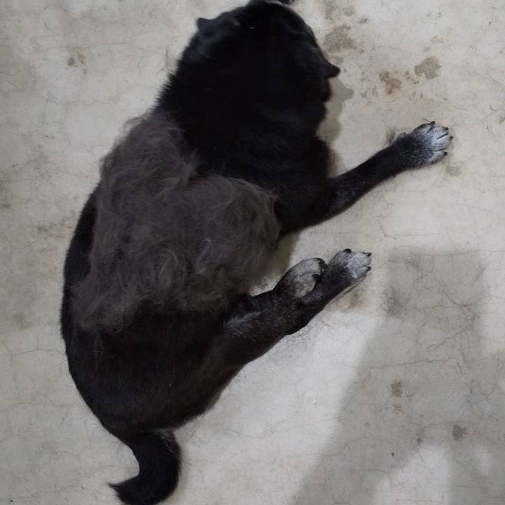 42095b02 4962 48f5 9129 551ce9eb2e73 1569035300292